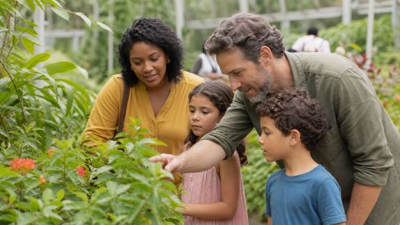 Découvrir les jardins botaniques : une sortie éducative pour petits et grands