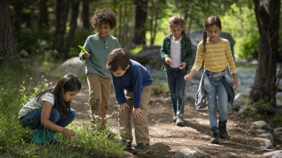 Idées de sorties gratuites en pleine nature avec les enfants