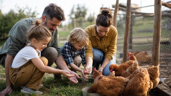 Comment organiser un séjour à la ferme bio en famille